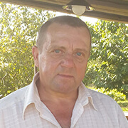 dswfa